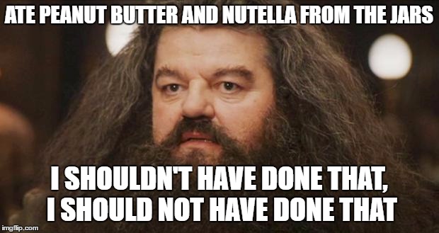 Hagrid | ATE PEANUT BUTTER AND NUTELLA FROM THE JARS; I SHOULDN'T HAVE DONE THAT, I SHOULD NOT HAVE DONE THAT | image tagged in hagrid | made w/ Imgflip meme maker
