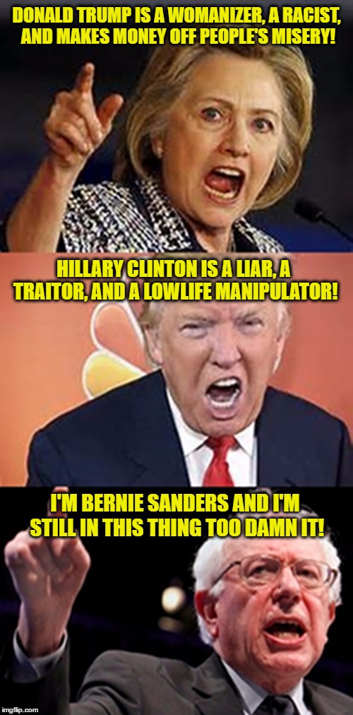 I'm so sick of this election crap...I wish the election was over regardless of who wins...WE are losers either way... |  DONALD TRUMP IS A WOMANIZER, A RACIST, AND MAKES MONEY OFF PEOPLE'S MISERY! HILLARY CLINTON IS A LIAR, A TRAITOR, AND A LOWLIFE MANIPULATOR! I'M BERNIE SANDERS AND I'M STILL IN THIS THING TOO DAMN IT! | image tagged in election | made w/ Imgflip meme maker