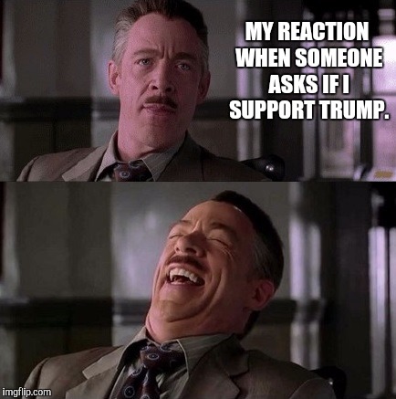 MY REACTION WHEN SOMEONE ASKS IF I SUPPORT TRUMP. | image tagged in nevertrump | made w/ Imgflip meme maker