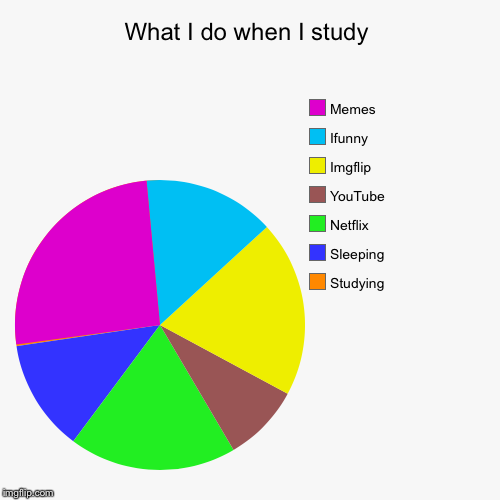 image tagged in funny,pie charts | made w/ Imgflip chart maker