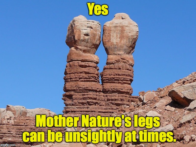 Yes Mother Nature's legs can be unsightly at times. | made w/ Imgflip meme maker