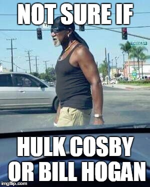 NOT SURE IF; HULK COSBY OR BILL HOGAN | image tagged in bill cosby,hulk hogan | made w/ Imgflip meme maker