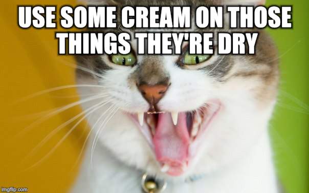 USE SOME CREAM ON THOSE THINGS THEY'RE DRY | made w/ Imgflip meme maker