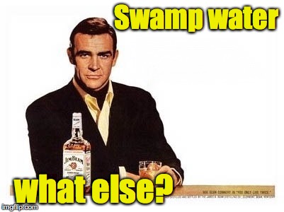 Most Interesting Bond in the World | Swamp water what else? | image tagged in most interesting bond in the world | made w/ Imgflip meme maker