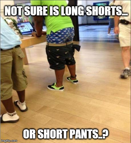 NOT SURE IS LONG SHORTS... OR SHORT PANTS..? | image tagged in pants | made w/ Imgflip meme maker