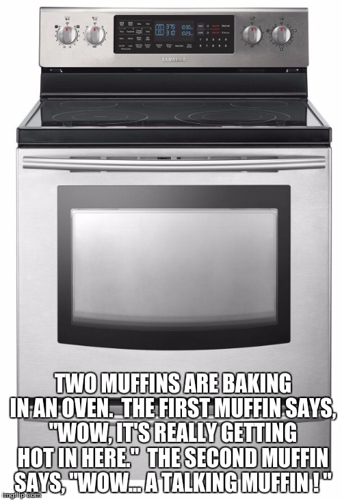 Oven | TWO MUFFINS ARE BAKING IN AN OVEN.  THE FIRST MUFFIN SAYS, "WOW, IT'S REALLY GETTING HOT IN HERE."  THE SECOND MUFFIN SAYS, "WOW... A TALKING MUFFIN ! " | image tagged in oven,muffins,baked,rosted | made w/ Imgflip meme maker