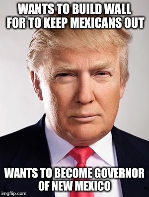 Donald Trump | WANTS TO BUILD WALL FOR TO KEEP MEXICANS OUT; WANTS TO BECOME GOVERNOR OF NEW MEXICO | image tagged in donald trump | made w/ Imgflip meme maker