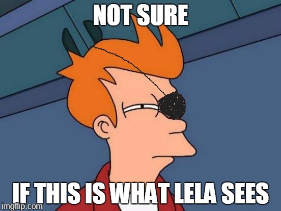 Futurama Fry | NOT SURE; IF THIS IS WHAT LELA SEES | image tagged in memes,futurama fry | made w/ Imgflip meme maker