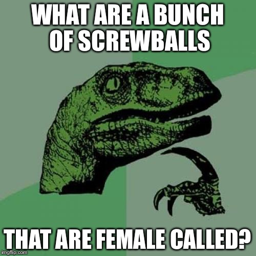 Philosoraptor Meme | WHAT ARE A BUNCH OF SCREWBALLS; THAT ARE FEMALE CALLED? | image tagged in memes,philosoraptor | made w/ Imgflip meme maker