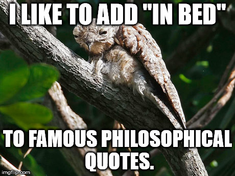 Now taking contributions. | I LIKE TO ADD "IN BED"; TO FAMOUS PHILOSOPHICAL QUOTES. | image tagged in odd stuff i do high potoo | made w/ Imgflip meme maker