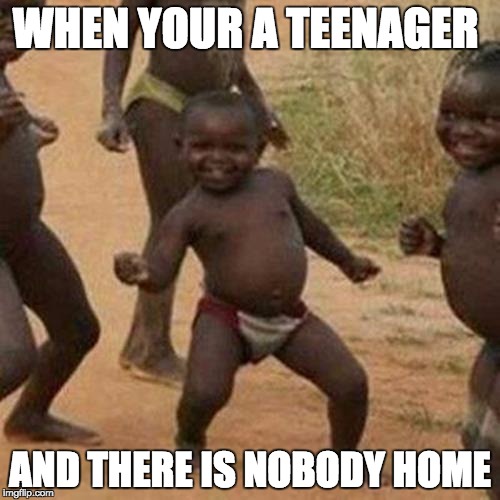 I know what I would do... | WHEN YOUR A TEENAGER; AND THERE IS NOBODY HOME | image tagged in memes,third world success kid,funny,cringe,lol,wow | made w/ Imgflip meme maker