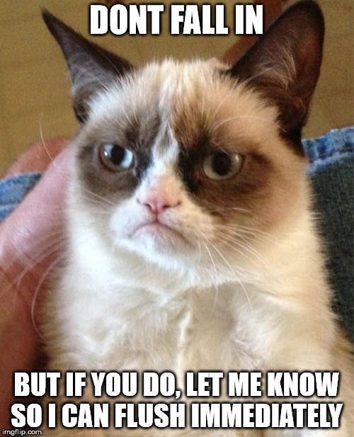 Grumpy Cat Meme | DONT FALL IN BUT IF YOU DO, LET ME KNOW SO I CAN FLUSH IMMEDIATELY | image tagged in memes,grumpy cat | made w/ Imgflip meme maker