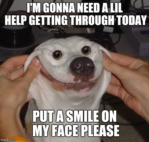 Put a smile on my face |  I'M GONNA NEED A LIL HELP GETTING THROUGH TODAY; PUT A SMILE ON MY FACE PLEASE | image tagged in memes,funny dogs,fake smile | made w/ Imgflip meme maker