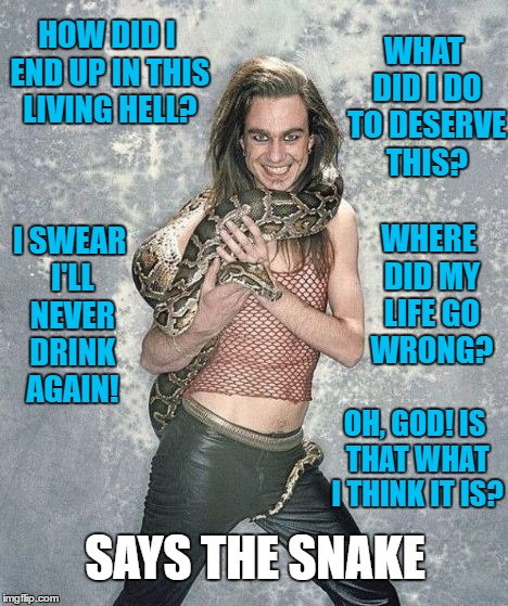 A Life Wasted | WHAT DID I DO TO DESERVE THIS? HOW DID I END UP IN THIS LIVING HELL? I SWEAR I'LL NEVER DRINK AGAIN! WHERE DID MY LIFE GO WRONG? OH, GOD! IS THAT WHAT I THINK IT IS? SAYS THE SNAKE | image tagged in memes | made w/ Imgflip meme maker