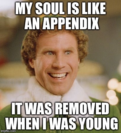 Buddy The Elf Meme | MY SOUL IS LIKE AN APPENDIX; IT WAS REMOVED WHEN I WAS YOUNG | image tagged in memes,buddy the elf | made w/ Imgflip meme maker