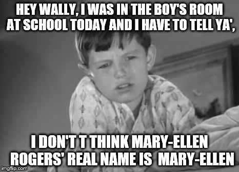 Gosh Beav thanks! I'll dump her off on Eddie tomorrow.  | HEY WALLY, I WAS IN THE BOY'S ROOM AT SCHOOL TODAY AND I HAVE TO TELL YA', I DON'T T THINK MARY-ELLEN  ROGERS' REAL NAME IS  MARY-ELLEN | image tagged in memes,leave it to beaver,chokin in the boys room | made w/ Imgflip meme maker