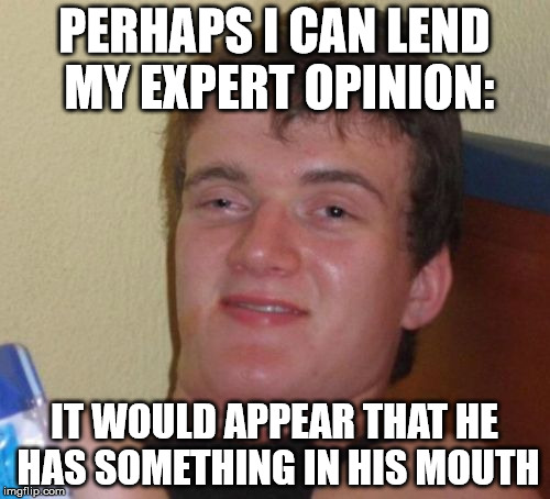 10 Guy Meme | PERHAPS I CAN LEND MY EXPERT OPINION: IT WOULD APPEAR THAT HE HAS SOMETHING IN HIS MOUTH | image tagged in memes,10 guy | made w/ Imgflip meme maker