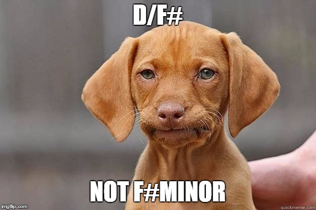 D/F#; NOT F#MINOR | image tagged in musician,guitarist,zombie,cranberries | made w/ Imgflip meme maker