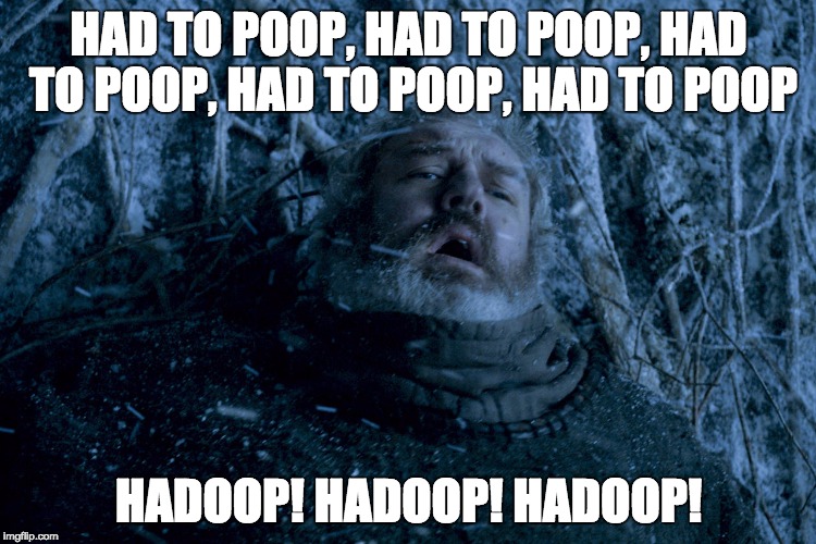 Hodor | HAD TO POOP, HAD TO POOP, HAD TO POOP, HAD TO POOP, HAD TO POOP; HADOOP! HADOOP! HADOOP! | image tagged in hodor | made w/ Imgflip meme maker