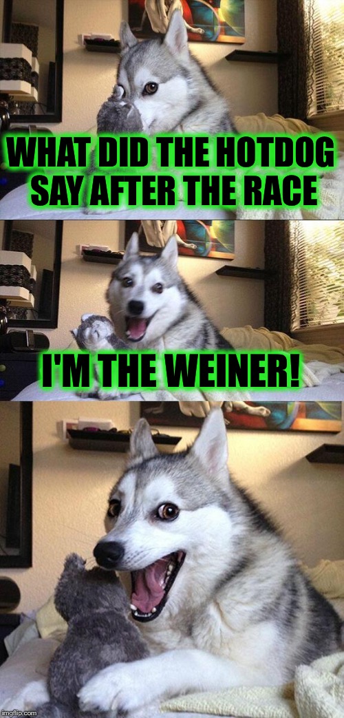 Ha ha ha....... | WHAT DID THE HOTDOG SAY AFTER THE RACE; I'M THE WEINER! | image tagged in memes,bad pun dog | made w/ Imgflip meme maker