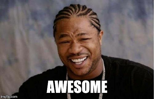 Yo Dawg Heard You Meme | AWESOME | image tagged in memes,yo dawg heard you | made w/ Imgflip meme maker