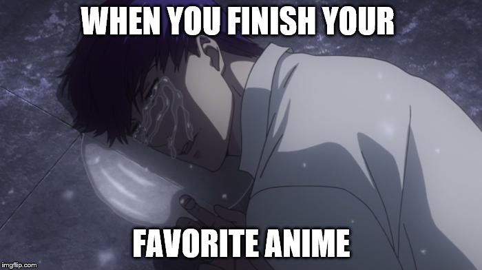 WHEN YOU FINISH YOUR; FAVORITE ANIME | image tagged in memes | made w/ Imgflip meme maker