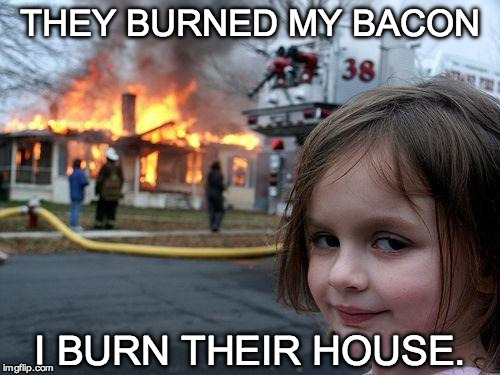 Disaster Girl Meme | THEY BURNED MY BACON; I BURN THEIR HOUSE. | image tagged in memes,disaster girl | made w/ Imgflip meme maker