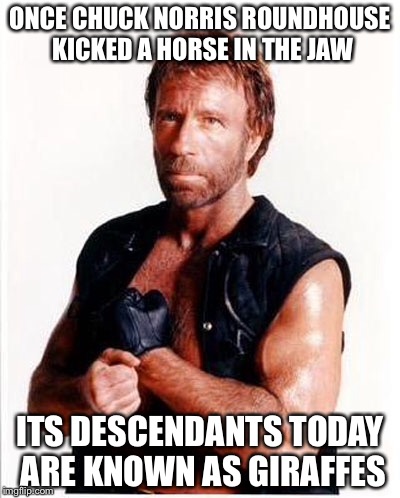Chuck Norris > evolution | ONCE CHUCK NORRIS ROUNDHOUSE KICKED A HORSE IN THE JAW; ITS DESCENDANTS TODAY ARE KNOWN AS GIRAFFES | image tagged in chuck norris | made w/ Imgflip meme maker