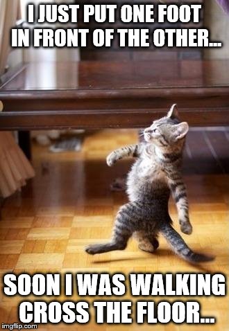 Cool Cat Stroll Meme | I JUST PUT ONE FOOT IN FRONT OF THE OTHER... SOON I WAS WALKING CROSS THE FLOOR... | image tagged in memes,cool cat stroll | made w/ Imgflip meme maker