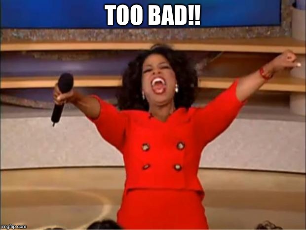 Oprah You Get A Meme | TOO BAD!! | image tagged in memes,oprah you get a | made w/ Imgflip meme maker