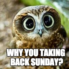 WHY YOU TAKING BACK SUNDAY? | image tagged in owl emo | made w/ Imgflip meme maker