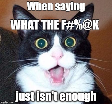 WTF.... | When saying; WHAT THE F#%@K; just isn't enough | image tagged in surprised cat lol,memes | made w/ Imgflip meme maker