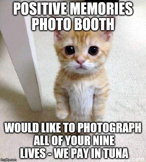 Cute Cat Meme | POSITIVE MEMORIES PHOTO BOOTH; WOULD LIKE TO PHOTOGRAPH ALL OF YOUR NINE LIVES - WE PAY IN TUNA | image tagged in memes,cute cat | made w/ Imgflip meme maker