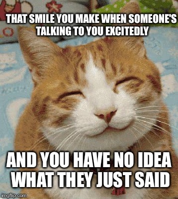 I'm A Good Listener. Usually.  | THAT SMILE YOU MAKE WHEN SOMEONE'S TALKING TO YOU EXCITEDLY; AND YOU HAVE NO IDEA WHAT THEY JUST SAID | image tagged in happy cat smiling,memes | made w/ Imgflip meme maker
