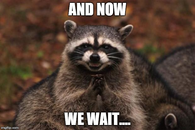 evil genius racoon | AND NOW; WE WAIT.... | image tagged in evil genius racoon | made w/ Imgflip meme maker