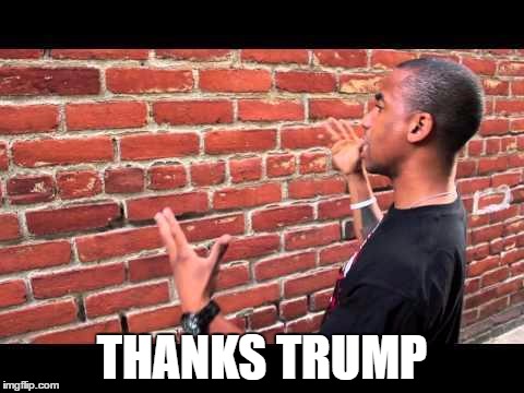 Brick wall guy | THANKS TRUMP | image tagged in brick wall guy | made w/ Imgflip meme maker