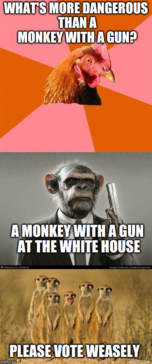 That's a crazy monkey! Handle your vote with care! | WHAT'S MORE DANGEROUS THAN A MONKEY WITH A GUN? A MONKEY WITH A GUN AT THE WHITE HOUSE; PLEASE VOTE WEASELY | image tagged in memes,political meme,a crazy monkey | made w/ Imgflip meme maker