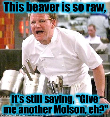 Chef Gordon Ramsay Meme | This beaver is so raw, it's still saying, "Give me another Molson, eh?" | image tagged in memes,chef gordon ramsay,funny,funny memes,evilmandoevil | made w/ Imgflip meme maker