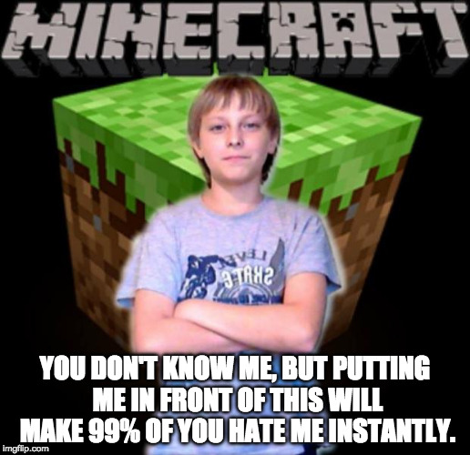 Scumbag Minecraft Kid | YOU DON'T KNOW ME, BUT PUTTING ME IN FRONT OF THIS WILL MAKE 99% OF YOU HATE ME INSTANTLY. | image tagged in scumbag minecraft kid | made w/ Imgflip meme maker