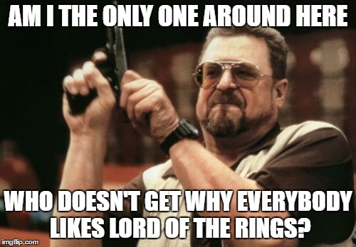Please tell me there is someone else! |  AM I THE ONLY ONE AROUND HERE; WHO DOESN'T GET WHY EVERYBODY LIKES LORD OF THE RINGS? | image tagged in memes,am i the only one around here | made w/ Imgflip meme maker