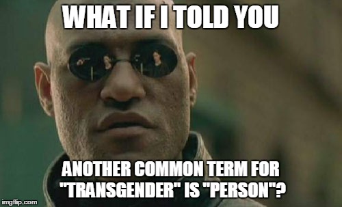 Matrix Morpheus | WHAT IF I TOLD YOU; ANOTHER COMMON TERM FOR "TRANSGENDER" IS "PERSON"? | image tagged in memes,matrix morpheus | made w/ Imgflip meme maker