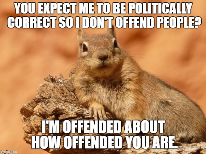 Social Expectations Squirrel | YOU EXPECT ME TO BE POLITICALLY CORRECT SO I DON'T OFFEND PEOPLE? I'M OFFENDED ABOUT HOW OFFENDED YOU ARE. | image tagged in memes,social expectations squirrel | made w/ Imgflip meme maker
