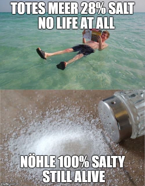 nöhle salty | TOTES MEER 28% SALT   NO LIFE AT ALL; NÖHLE 100% SALTY STILL ALIVE | image tagged in csgo | made w/ Imgflip meme maker