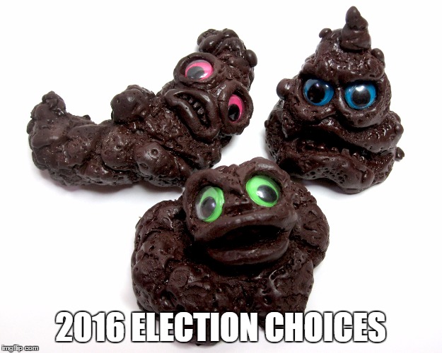 2016 election | 2016 ELECTION CHOICES | image tagged in bernie sanders,hillary clinton,trump | made w/ Imgflip meme maker