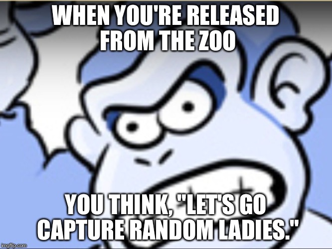 Donkey kong | WHEN YOU'RE RELEASED FROM THE ZOO; YOU THINK, "LET'S GO CAPTURE RANDOM LADIES." | image tagged in donkey kong | made w/ Imgflip meme maker