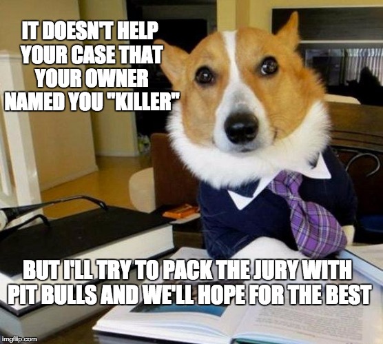 Lawyer dog | IT DOESN'T HELP YOUR CASE THAT YOUR OWNER NAMED YOU "KILLER"; BUT I'LL TRY TO PACK THE JURY WITH PIT BULLS AND WE'LL HOPE FOR THE BEST | image tagged in lawyer dog | made w/ Imgflip meme maker