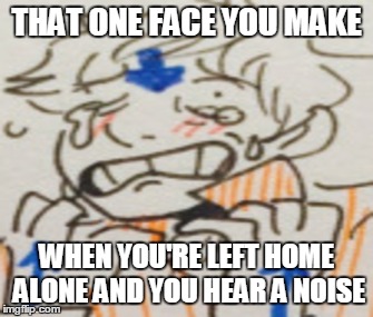 THAT ONE FACE YOU MAKE; WHEN YOU'RE LEFT HOME ALONE AND YOU HEAR A NOISE | image tagged in that face you make when,avatar,tumblr | made w/ Imgflip meme maker