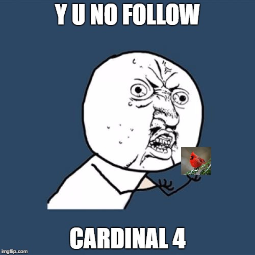 Y U No Meme | Y U NO FOLLOW; CARDINAL 4 | image tagged in memes,y u no | made w/ Imgflip meme maker