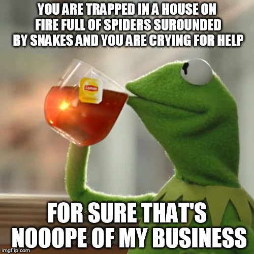 But That's None Of My Business Meme | YOU ARE TRAPPED IN A HOUSE ON FIRE FULL OF SPIDERS SUROUNDED BY SNAKES AND YOU ARE CRYING FOR HELP; FOR SURE THAT'S NOOOPE OF MY BUSINESS | image tagged in memes,but thats none of my business,kermit the frog | made w/ Imgflip meme maker