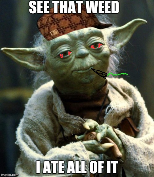 Star Wars Yoda | SEE THAT WEED; I ATE ALL OF IT | image tagged in memes,star wars yoda,scumbag | made w/ Imgflip meme maker